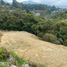  Land for sale in Envigado, Antioquia, Envigado