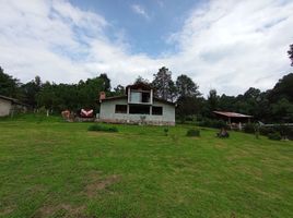 在Amanalco, Mexico出租的3 卧室 屋, Amanalco