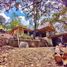 在墨西哥出租的 别墅, Valle De Bravo, Mexico, 墨西哥
