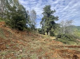  Grundstück zu verkaufen in Valdivia, Los Rios, Mariquina