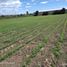 Land for sale in Calpan, Puebla, Calpan