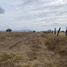  Land for sale in Nopalucan, Puebla, Nopalucan