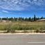  Land for rent in Nativitas, Tlaxcala, Nativitas