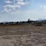  Land for sale in Nopalucan, Puebla, Nopalucan