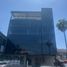 350 SqM Office for rent in Tijuana Cultural Center, Tijuana, Tijuana