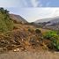  Land for sale in Lurigancho, Lima, Lurigancho, Lima, Lima