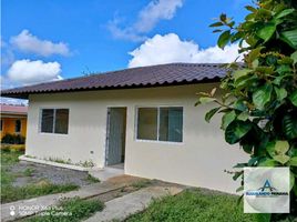 2 Habitación Villa en alquiler en Chiriquí, Las Lomas, David, Chiriquí