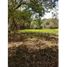 Studio Villa zu verkaufen in Penonome, Cocle, Penonome, Penonome