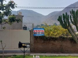  Terreno (Parcela) en venta en Lurigancho, Lima, Lurigancho