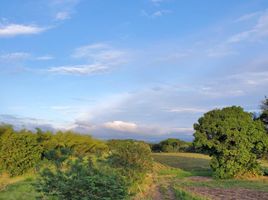  Land for sale in Pereira, Risaralda, Pereira