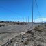  Land for sale in Confluencia, Neuquen, Confluencia