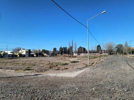  Land for sale in Confluencia, Neuquen, Confluencia