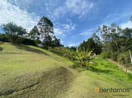  Terreno (Parcela) en venta en Guarne, Antioquia, Guarne