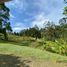  Land for sale in Guarne, Antioquia, Guarne