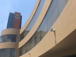 539.70 SqM Office for rent in Nuevo Leon, Monterrey, Nuevo Leon
