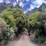  Land for sale in Choconta, Cundinamarca, Choconta