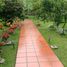 3 Bedroom House for sale in Chinacota, Norte De Santander, Chinacota