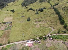  Terreno (Parcela) en venta en Chinacota, Norte De Santander, Chinacota