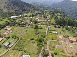  Land for sale in Chinacota, Norte De Santander, Chinacota