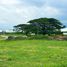  Land for sale in Villa Del Rosario, Norte De Santander, Villa Del Rosario