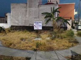  Grundstück zu verkaufen in Allende, Guanajuato, Allende
