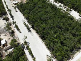  Grundstück zu verkaufen in Cozumel, Quintana Roo, Cozumel