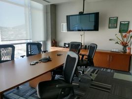 245 SqM Office for rent in Nuevo Leon, Monterrey, Nuevo Leon