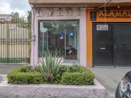 4 Habitación Casa en alquiler en Ciudad de México, Miguel Hidalgo, Ciudad de México