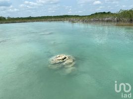  Grundstück zu verkaufen in Othon P Blanco, Quintana Roo, Othon P Blanco
