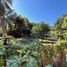  Land for sale in Minatitlan, Veracruz, Minatitlan