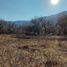  Land for sale in Amacueca, Jalisco, Amacueca