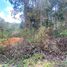  Terreno (Parcela) en venta en San Cristobal De Las Casas, Chiapas, San Cristobal De Las Casas