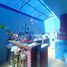 3 Habitación Casa en venta en San Cristobal De Las Casas, Chiapas, San Cristobal De Las Casas