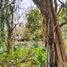  Land for sale in Merida, Yucatan, Merida