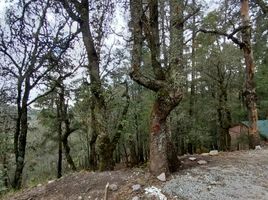 Land for sale in Mineral Del Chico, Hidalgo, Mineral Del Chico