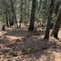  Land for sale in Mineral Del Chico, Hidalgo, Mineral Del Chico