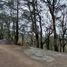  Land for sale in Mineral Del Chico, Hidalgo, Mineral Del Chico