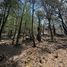 Land for sale in Mineral Del Chico, Hidalgo, Mineral Del Chico