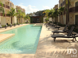 2 Bedroom Condo for sale in Cozumel, Quintana Roo, Cozumel