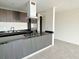 2 Bedroom Apartment for rent in Morelos, Huitzilac, Morelos
