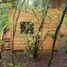  Land for sale in San Cristobal De Las Casas, Chiapas, San Cristobal De Las Casas, Chiapas