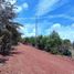  Land for sale in Atotonilco El Grande, Hidalgo, Atotonilco El Grande