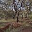  Land for sale in Mineral Del Chico, Hidalgo, Mineral Del Chico