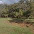  Land for sale in Mineral Del Chico, Hidalgo, Mineral Del Chico