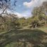  Land for sale in Mineral Del Chico, Hidalgo, Mineral Del Chico