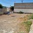  Land for rent in Juarez, Chihuahua, Juarez