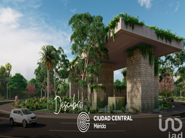  Land for sale in Tixkokob, Yucatan, Tixkokob
