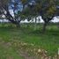 Terrain à vendre à Huimilpan, Queretaro, Huimilpan, Queretaro