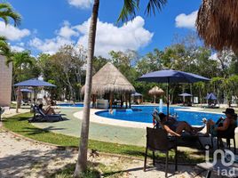 2 Schlafzimmer Appartement zu verkaufen in Puerto Morelos, Quintana Roo, Puerto Morelos