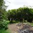  Land for sale in Tepeyahualco De Cuauhtemoc, Puebla, Tepeyahualco De Cuauhtemoc